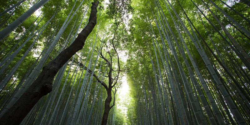 审计风控